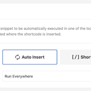 wpcode-run-everywhere
