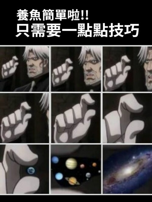 339029801_608809824441564_6069178945128729252_n.jpeg