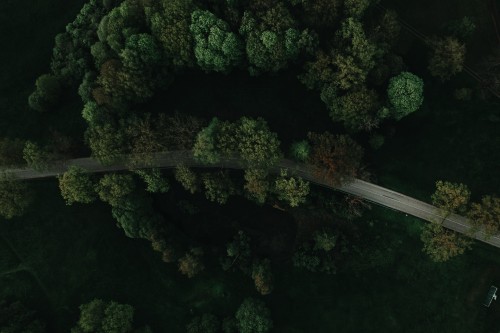 kristaps-ungurs-uNv_az5LLmY-unsplash.jpeg