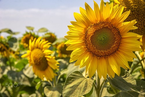 stock-photo-1029220520.jpeg