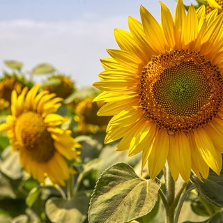 stock-photo-1029220520