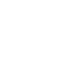 mt-logo-bug-white
