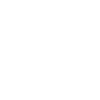 mt-logo-bug-white2x