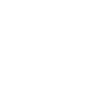 mt-logo-bug-white4x
