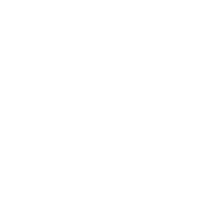 mt-logo-wide-white4x